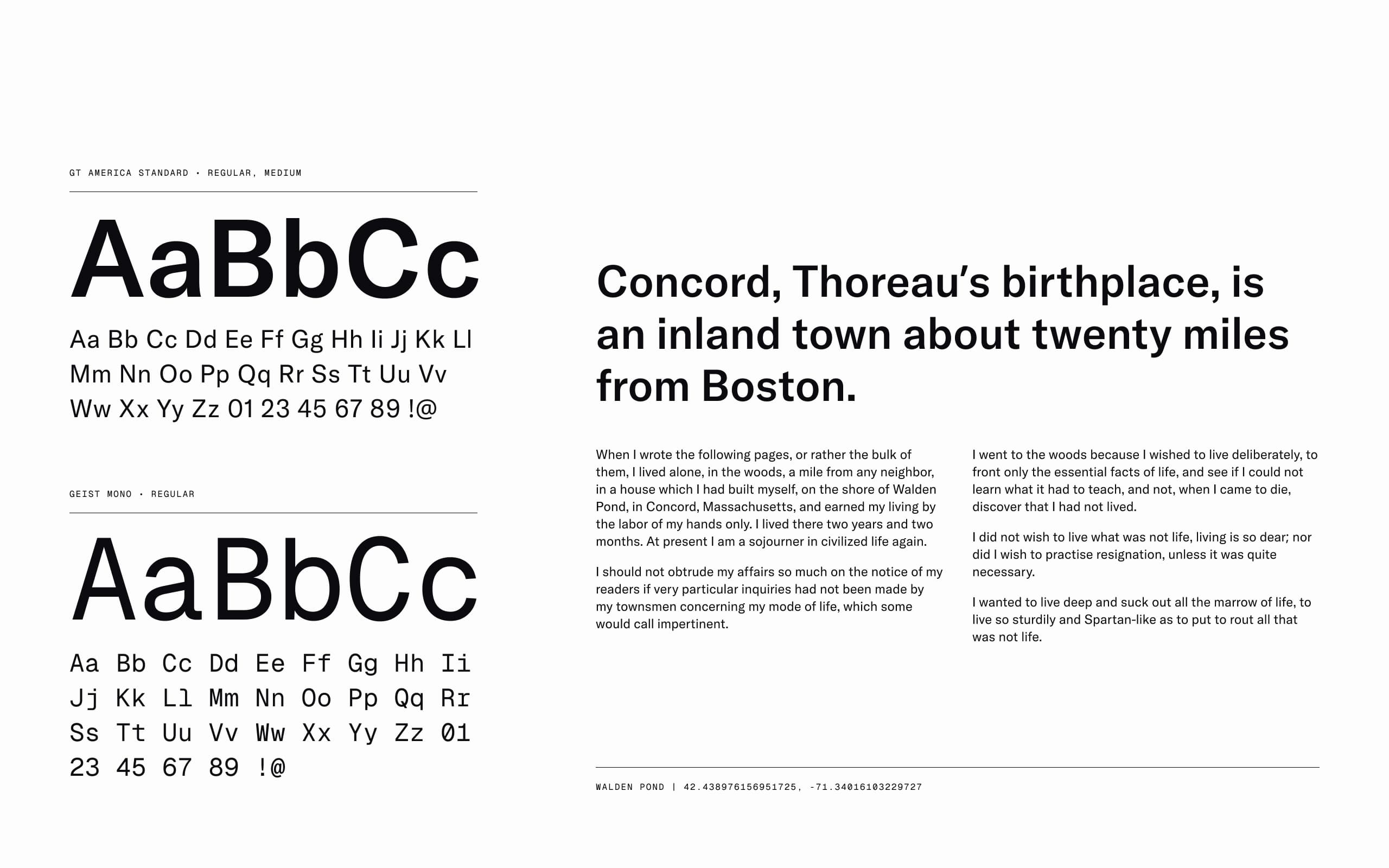 Walden brand identity and product vision work